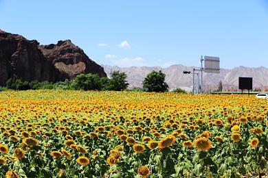 3DM速报：《心醉魂迷》七夕杀鸡？Steam Deck亚洲开卖！