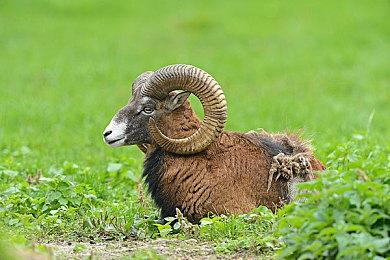 英国监管机构就动视暴雪收购案 向公众征求意见