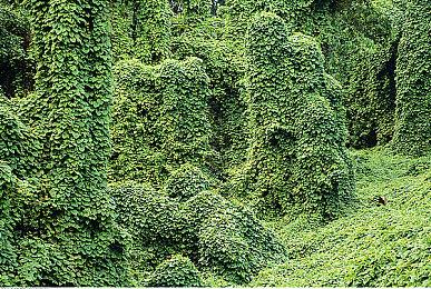 《灵魂骇客2》日刊未来预测 雪精灵“杰克霜精”